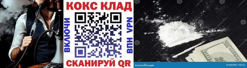 Купить закладки  Шенкурск  Cocaine Fish Scale 