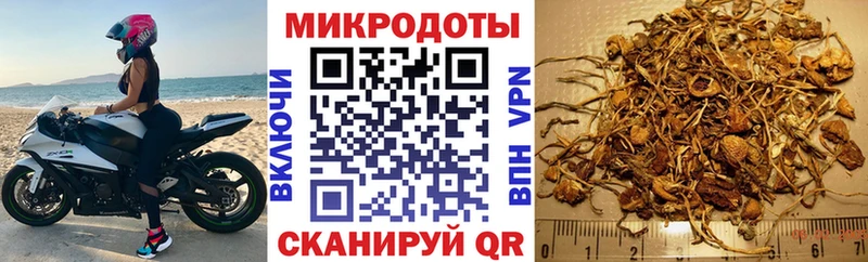 Галлюциногенные грибы мухоморы  Купить закладки  Шенкурск 
