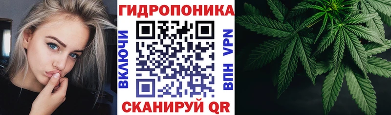Марихуана планчик  Купить где  Шенкурск 